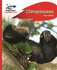 Reading Planet-Chimpanzees-Red B: Rocket Phonics (Book)