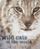 Wild Cats of the World Format: Hardback