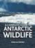 A Complete Guide to Antarctic Wildlife: the Birds and Marine Mammals of the Antarctic Continent and the Southern Ocean
