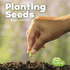 Planting Seeds (Little Pebble: Celebrate Spring)