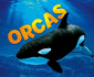 Sea Life: Orcas