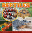 Animal Kingdom: Reptiles