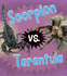Animal Rivals: Scorpion Vs. Tarantula