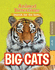 Animal Detectives: Big Cats