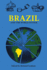 Brazil and the World System (Critical Reflections on Latin America Series)