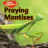 Praying Mantises (Animal Cannibals, 3)