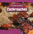 Cockroaches (Living Fossils)