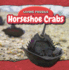 Horseshoe Crabs (Living Fossils, 6)