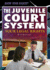 The Juvenile Court System: Your Legal Rights (Know Your Rights)