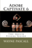 Adobe Captivate 6: the Quick Visual Guide