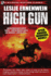 High Gun Spur Award Winning Novel