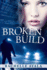 Broken Build: Silicon Valley Romantic Suspense