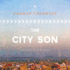 The City Son: Library Edition
