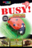 Busy! Insects (Spectrum Readers)