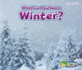 What Can You See in Winter Seasons Heinemann