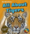 All About Tigers: a Description Text