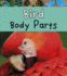 Bird Body Parts (Animal Body Parts)