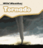 Tornado (Wild Weather)