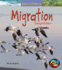 Migration (Nature's Patterns)