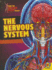 The Nervous System