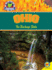 Ohio: the Buckeye State (Discover America)