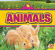 Animals (All About Spring)