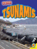 Tsunamis (Surviving)