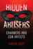 Hidden Abusers