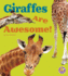 Giraffes Are Awesome! (Awesome African Animals! )