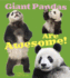Giant Pandas Are Awesome! (a+ Books: Awesome Asian Animals)
