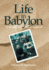Life in Babylon: a Memoir of Joy and Anguish