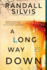 A Long Way Down: a Literary Thriller (Ryan Demarco Mystery, 3)