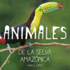 Animales De La Selva Amazonica: Infantales Livres (Brightbrain) (Spanish Edition)