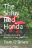 The Shiny Red Honda: Growing Up in Rural Waterford in the 1950/60's