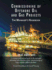 Commissioning of Offshore Oil and Gas Projects: the Manager's Handbook