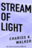 Stream of Light Volume 6 the Vision Chronicles