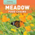 Meadow Food Chains (Exploring Food Chains and Food Webs)
