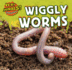 Wiggly Worms (Icky Animals! Small and Gross)