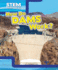 How Do Dams Work? (Stem Waterworks)