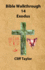 Bible Walkthrough-14-Exodus