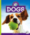 Dogs (Pet Care)