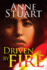 Driven By Fire (Fire, 2)