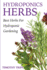 Hydroponics Herbs: Best Herbs For Hydroponic Gardening