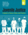 Juvenile Justice: a Guide to Theory, Policy, and Practice