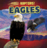 Eagles (Raptors! )