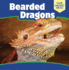 Bearded Dragons (Our Weird Pets)