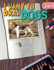 I Want to Draw Dogs (Learn to Draw! )