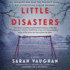 Little Disasters