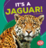 It's a Jaguar! (Bumba Books Rain Forest Animals)