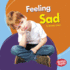 Feeling Sad Format: Library